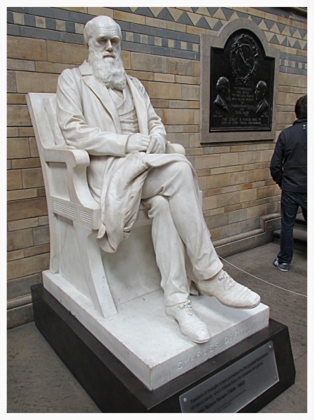 Charles Darwin in the Natural History Museum, London