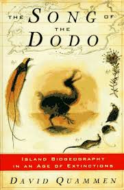 dodo