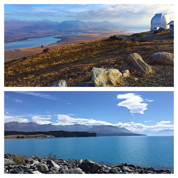 Mackenzie Country, South Island, New Zealand